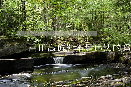 莆田高仿鞋不是违法的吗 莆田高仿鞋不是违法的吗