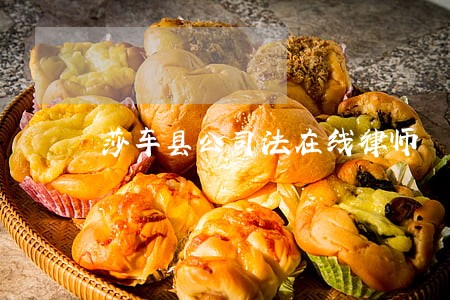 莎车县公司法在线律师 莎车县公司法在线律师