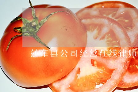 莎车县公司经营在线律师 莎车县公司经营在线律师