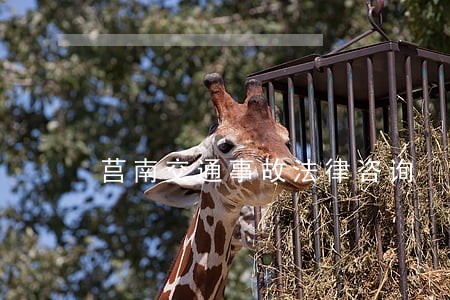 莒南交通事故法律咨询 莒南交通事故法律咨询