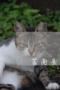 莒南县刘国栋违法 莒南县刘国栋违法