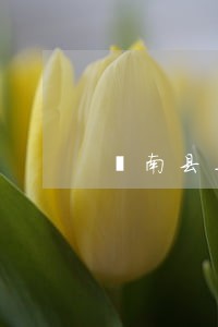 莒南县工伤赔偿律师在线免费咨询 莒南县工伤赔偿律师在线免费咨询