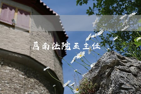 莒南法院王主任 莒南法院王主任