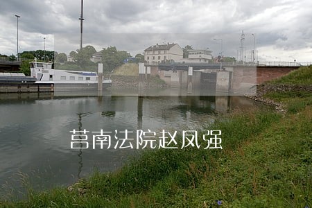 莒南法院赵凤强 莒南法院赵凤强