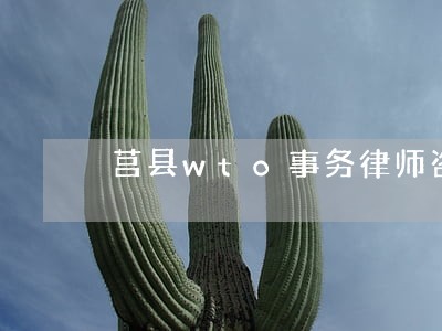 莒县wto事务律师咨询电话 莒县wto事务律师咨询电话