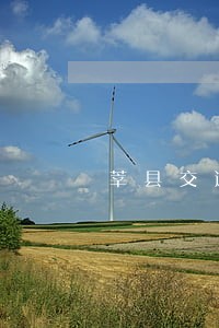 莘县交通事故在线律师 莘县交通事故在线律师