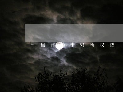 莘县律师事务所收费 莘县律师事务所收费