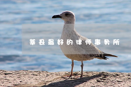 莘县最好的律师事务所 莘县最好的律师事务所