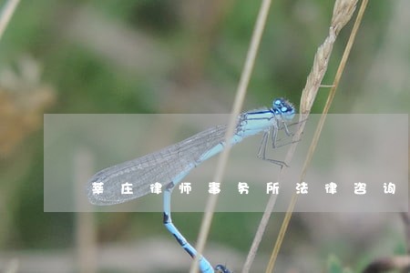 莘庄律师事务所法律咨询 莘庄律师事务所法律咨询