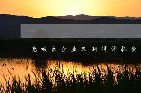 莞城区企业改制律师收费 莞城区企业改制律师收费