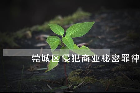 莞城区侵犯商业秘密罪律师 莞城区侵犯商业秘密罪律师