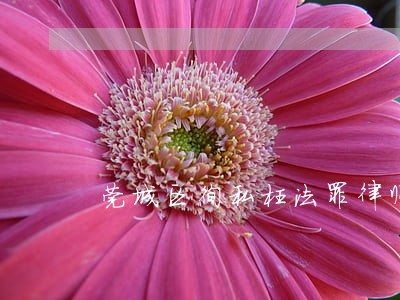 莞城区徇私枉法罪律师委托流程