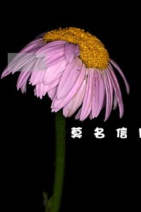 莫名信用逾期