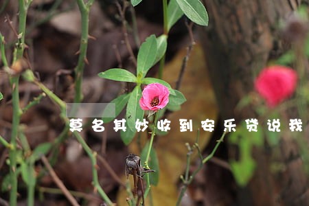 莫名其妙收到安乐贷说我逾期