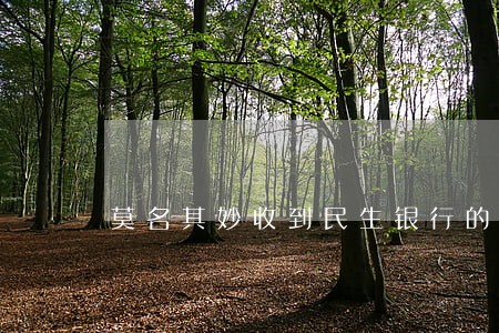 莫名其妙收到民生银行的逾期 莫名其妙收到民生银行的逾期