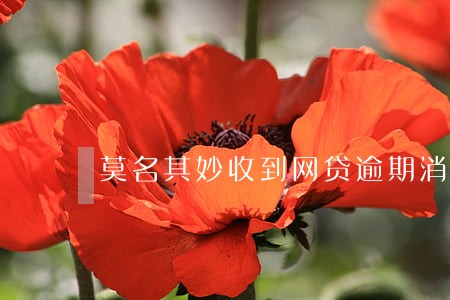 莫名其妙收到网贷逾期消息 莫名其妙收到网贷逾期消息
