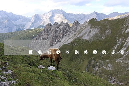 莫名其妙收到美团的逾期信息