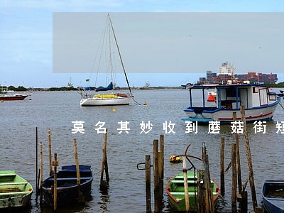 莫名其妙收到蘑菇街短信说我逾期