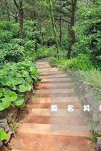 莫名其妙收到贷款逾期邮件