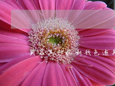 莫名其妙收到钱包逾期短信 莫名其妙收到钱包逾期短信