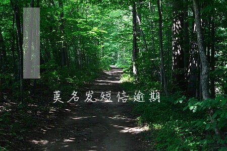 莫名发短信逾期 莫名发短信逾期
