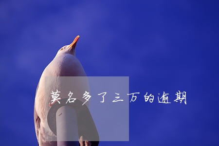 莫名多了三万的逾期 莫名多了三万的逾期