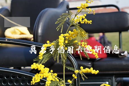 莫名多信用卡逾期信息 莫名多信用卡逾期信息