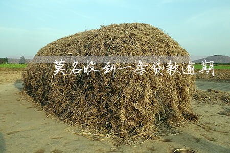 莫名收到一条贷款逾期 莫名收到一条贷款逾期