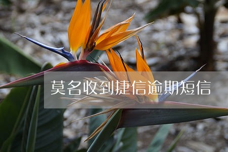 莫名收到捷信逾期短信