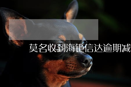 莫名收到海钜信达逾期减免公告