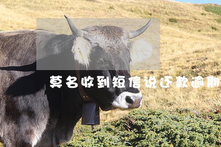 莫名收到短信说还款逾期 莫名收到短信说还款逾期