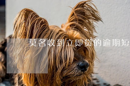 莫名收到立即贷的逾期短信
