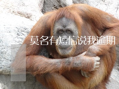 莫名有短信说我逾期 莫名有短信说我逾期