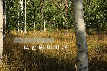 莫名逾期扣款