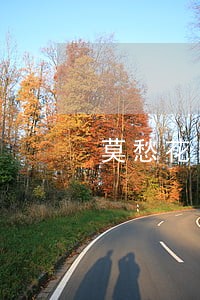 莫愁花网贷逾期 莫愁花网贷逾期