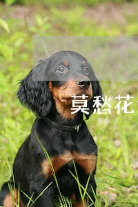 莫愁花逾期6天发律师函 莫愁花逾期6天发律师函