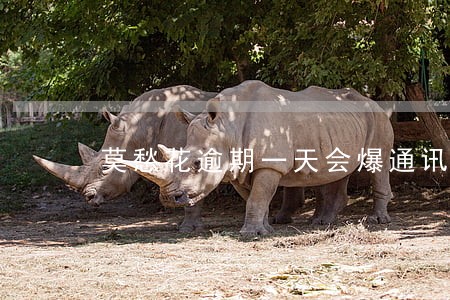 莫愁花逾期一天会爆通讯录吗 莫愁花逾期一天会爆通讯录吗