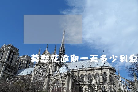 莫愁花逾期一天多少利息 莫愁花逾期一天多少利息