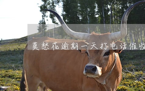 莫愁花逾期一天打电话催收 莫愁花逾期一天打电话催收