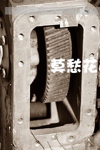 莫愁花逾期三个月 莫愁花逾期三个月
