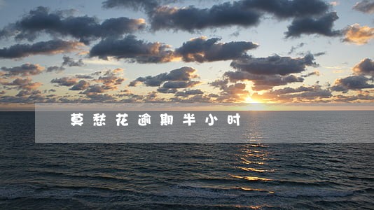 莫愁花逾期半小时 莫愁花逾期半小时