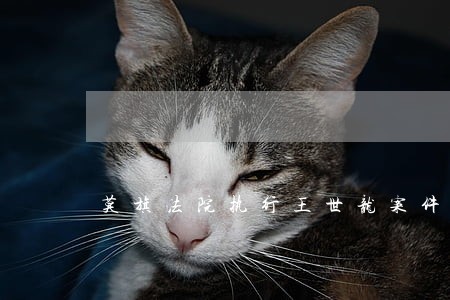 莫旗法院执行王世龙案件 莫旗法院执行王世龙案件