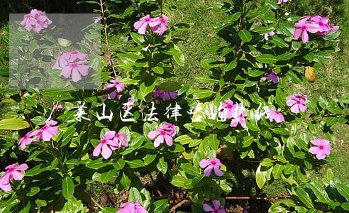 莱山区法律咨询热线 莱山区法律咨询热线