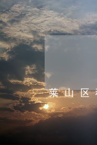 莱山区税务法律咨询 莱山区税务法律咨询