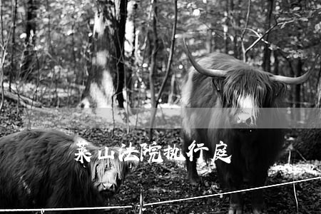 莱山法院执行庭