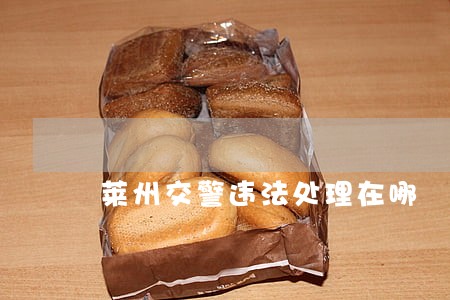 莱州交警违法处理在哪 莱州交警违法处理在哪