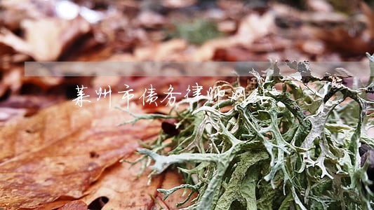 莱州市债务律师网站 莱州市债务律师网站