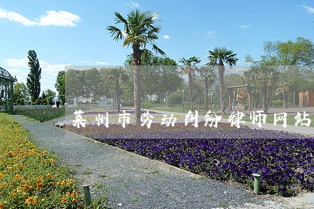 莱州市劳动纠纷律师网站 莱州市劳动纠纷律师网站