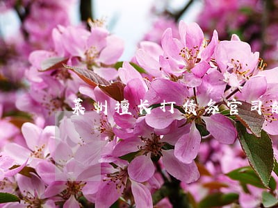 莱州擅长打债务官司的律师 莱州擅长打债务官司的律师