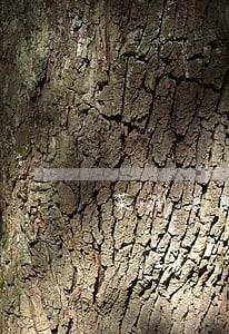 莱州法院决胜基本解决执行难纪实 莱州法院决胜基本解决执行难纪实